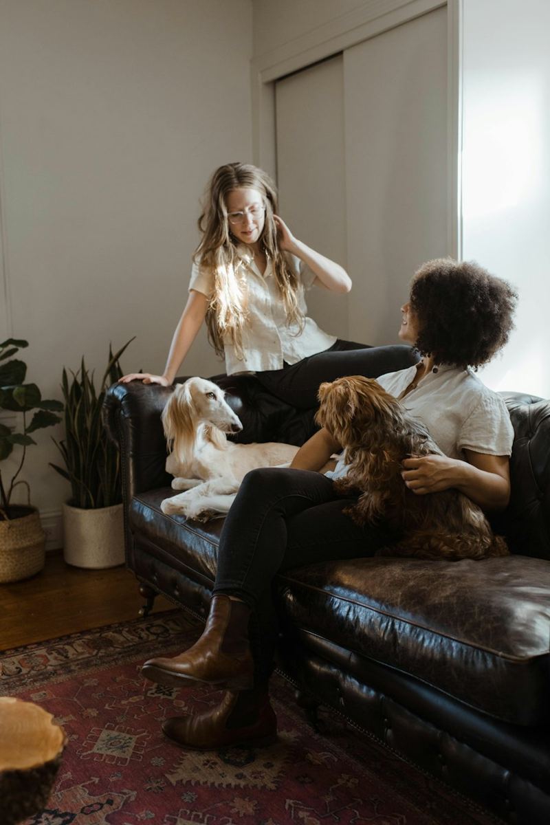 Enfant et chiens dans un salon