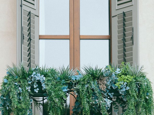 Guide pratique pour jardiner son balcon