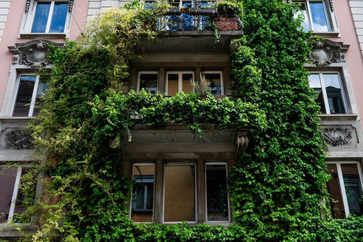 Comparatif composteurs de balcon : lombric, bokashi, rotatif