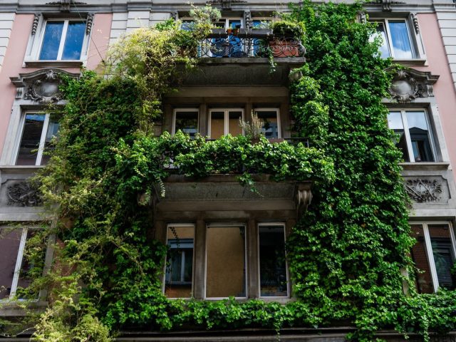 Comparatif composteurs de balcon : lombric, bokashi, rotatif