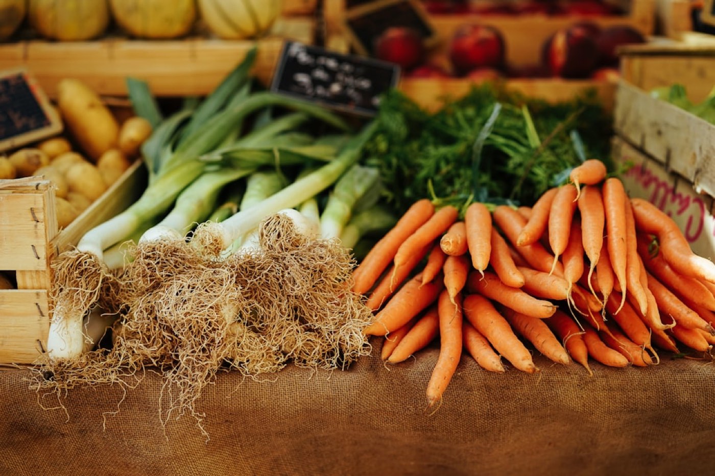 Conserver les légumes frais : température, humidité et emballage