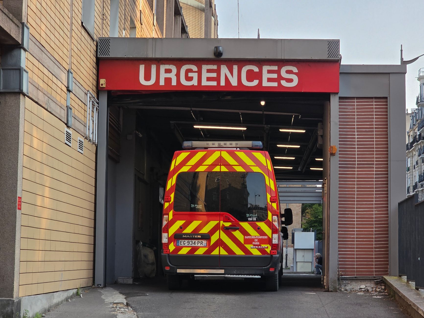 Invasion de rongeurs à Poitiers : une réponse inédite de la municipalité