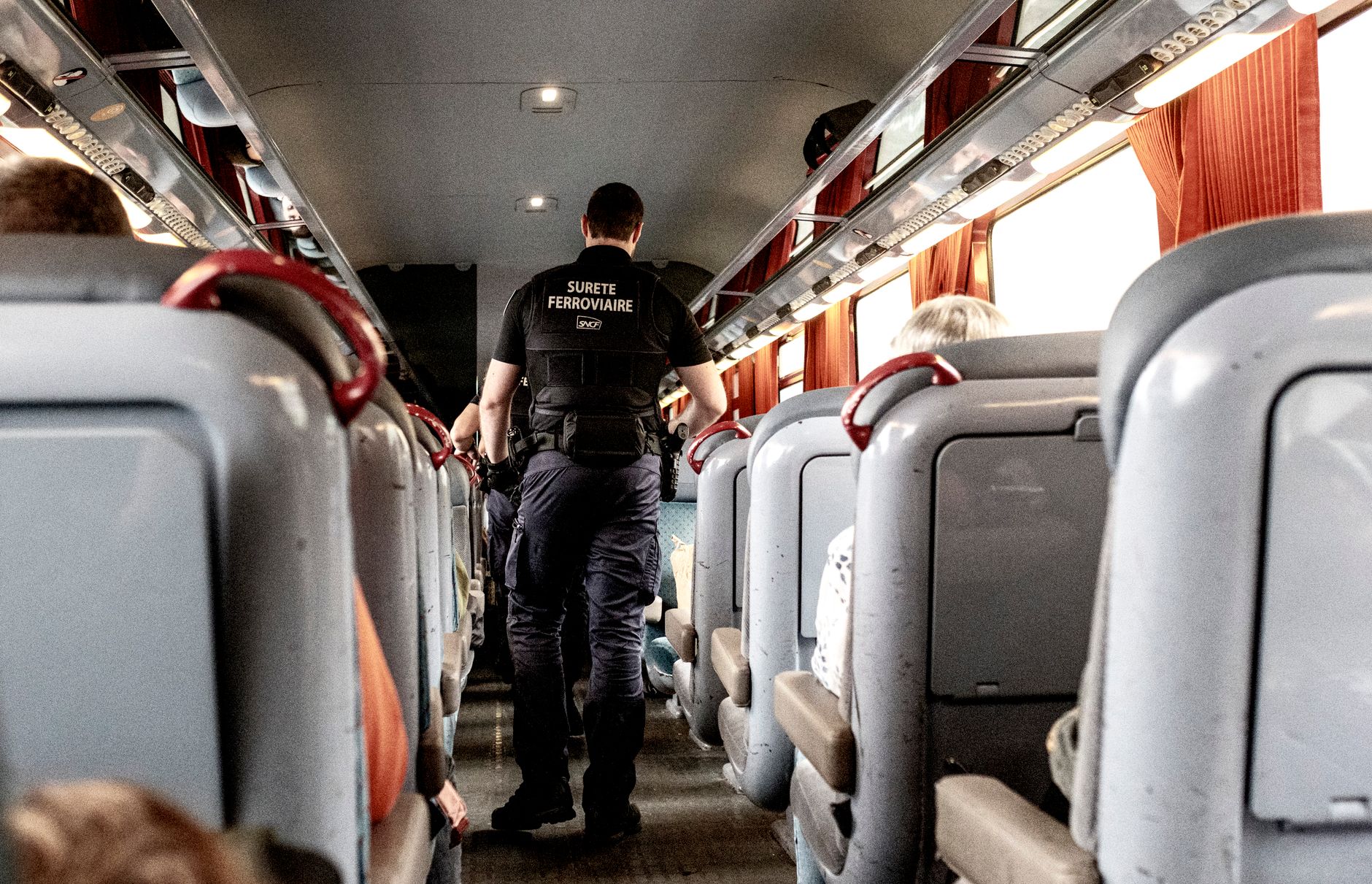 Insectes envahissent les trains entre Nice et Menton : alerte hygiène