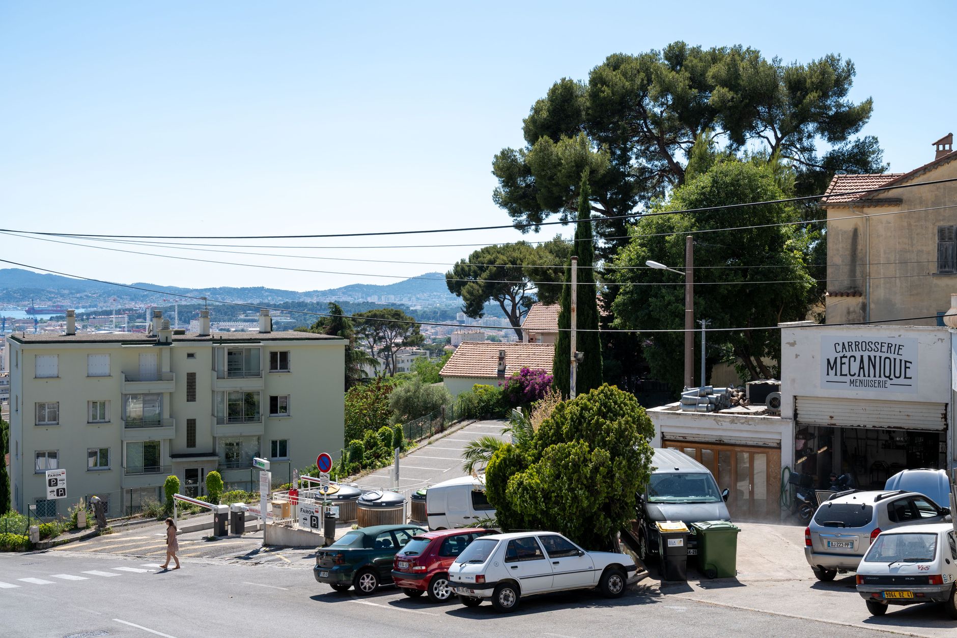 Dès la fin des canicules, le retour en force des frelons asiatiques