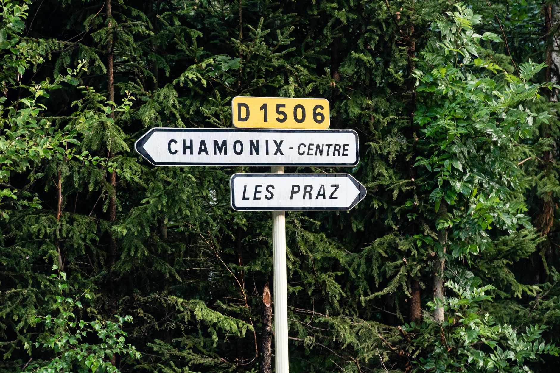 Punaises de lit : ces signes que vous ignorez à vos risques et périls