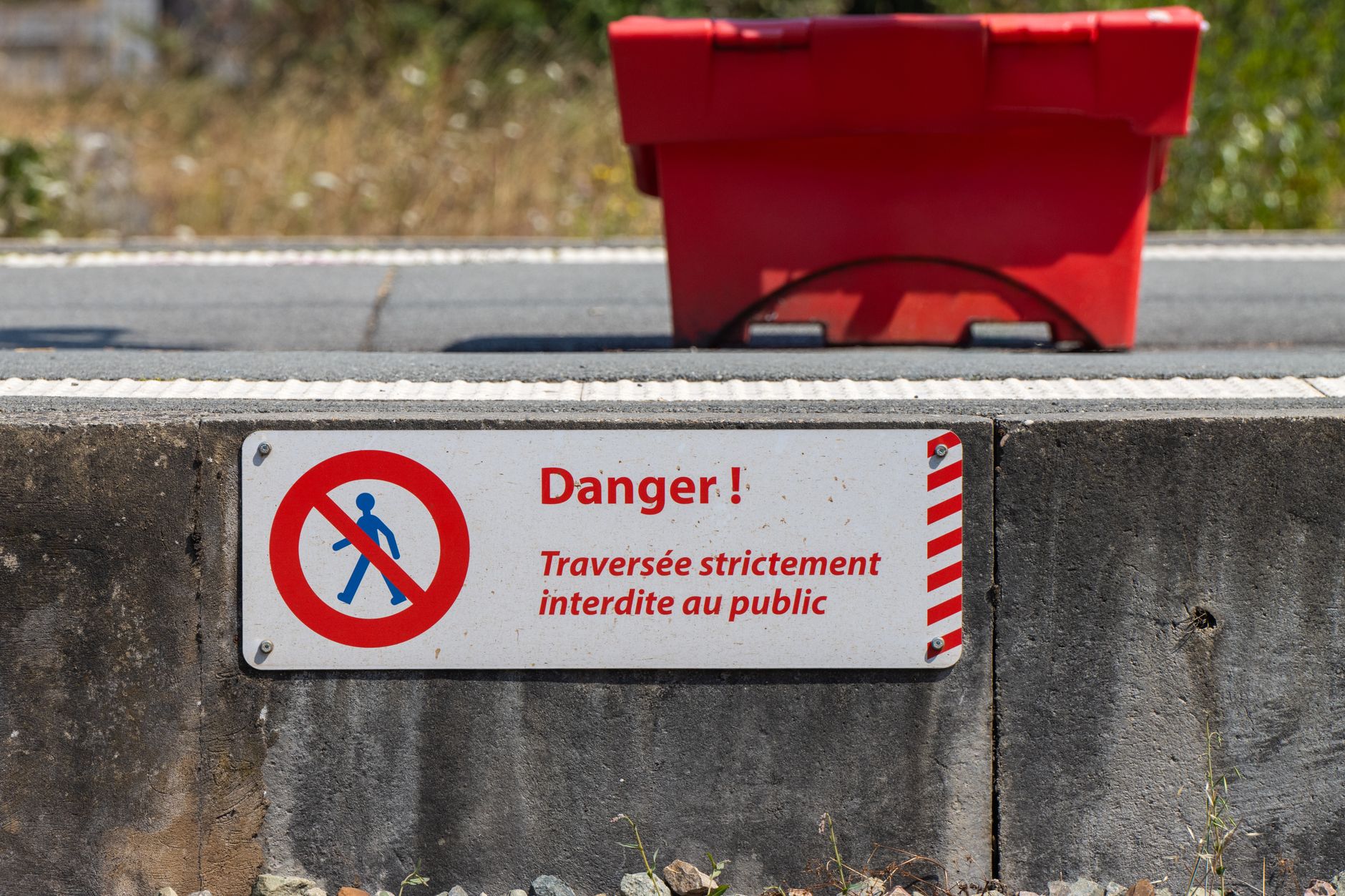 Rats à Aubagne : une menace croissante pour la santé publique