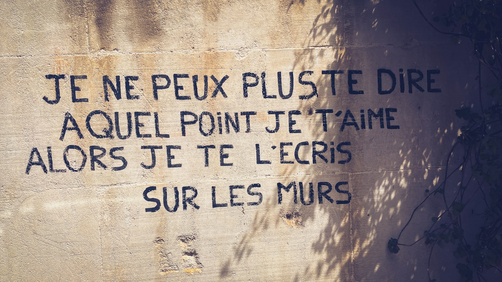 Qui paiera la désinsectisation à Paris ? Les locataires en première ligne