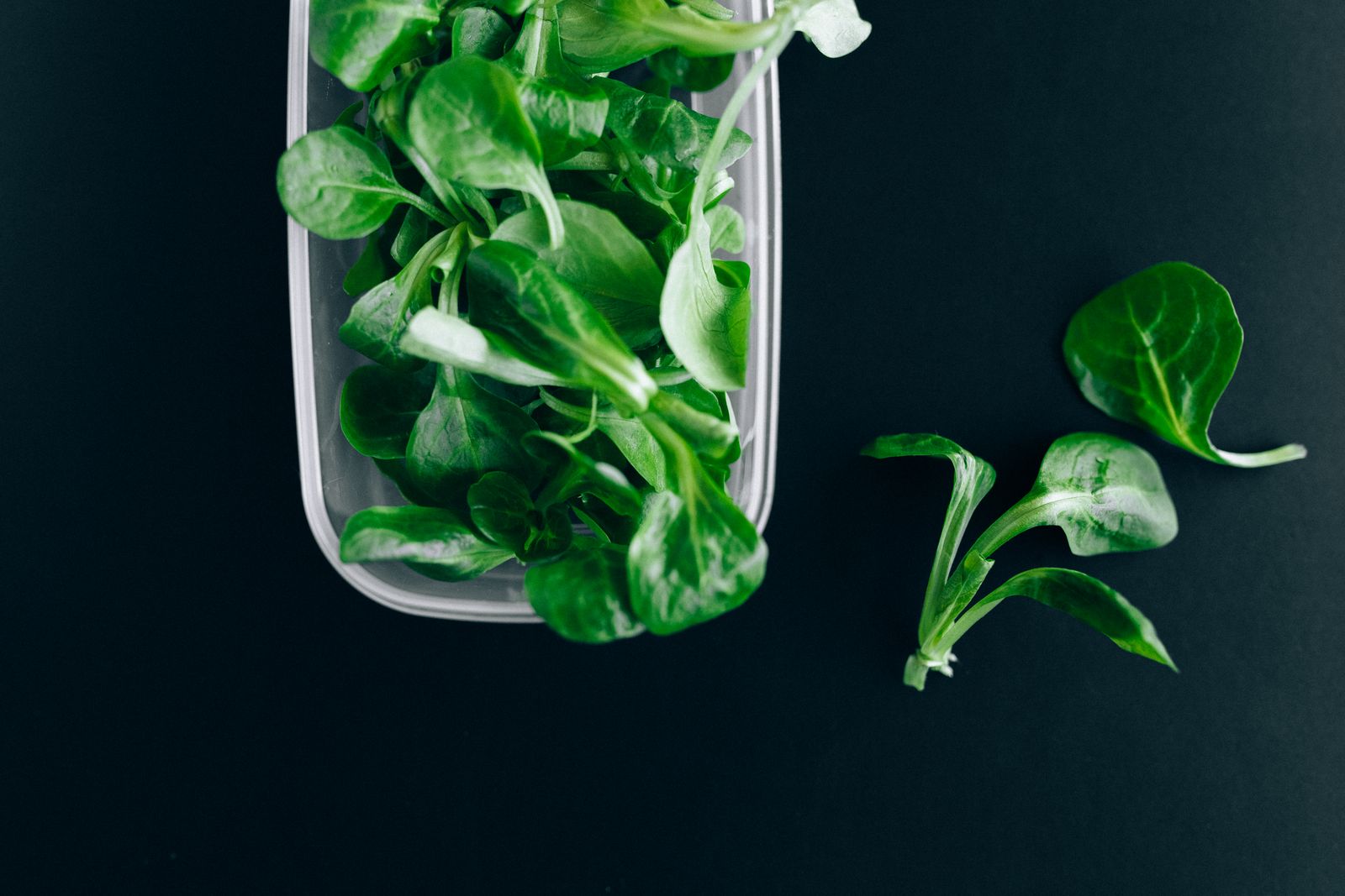 Conserver les légumes frais une semaine – guide économique