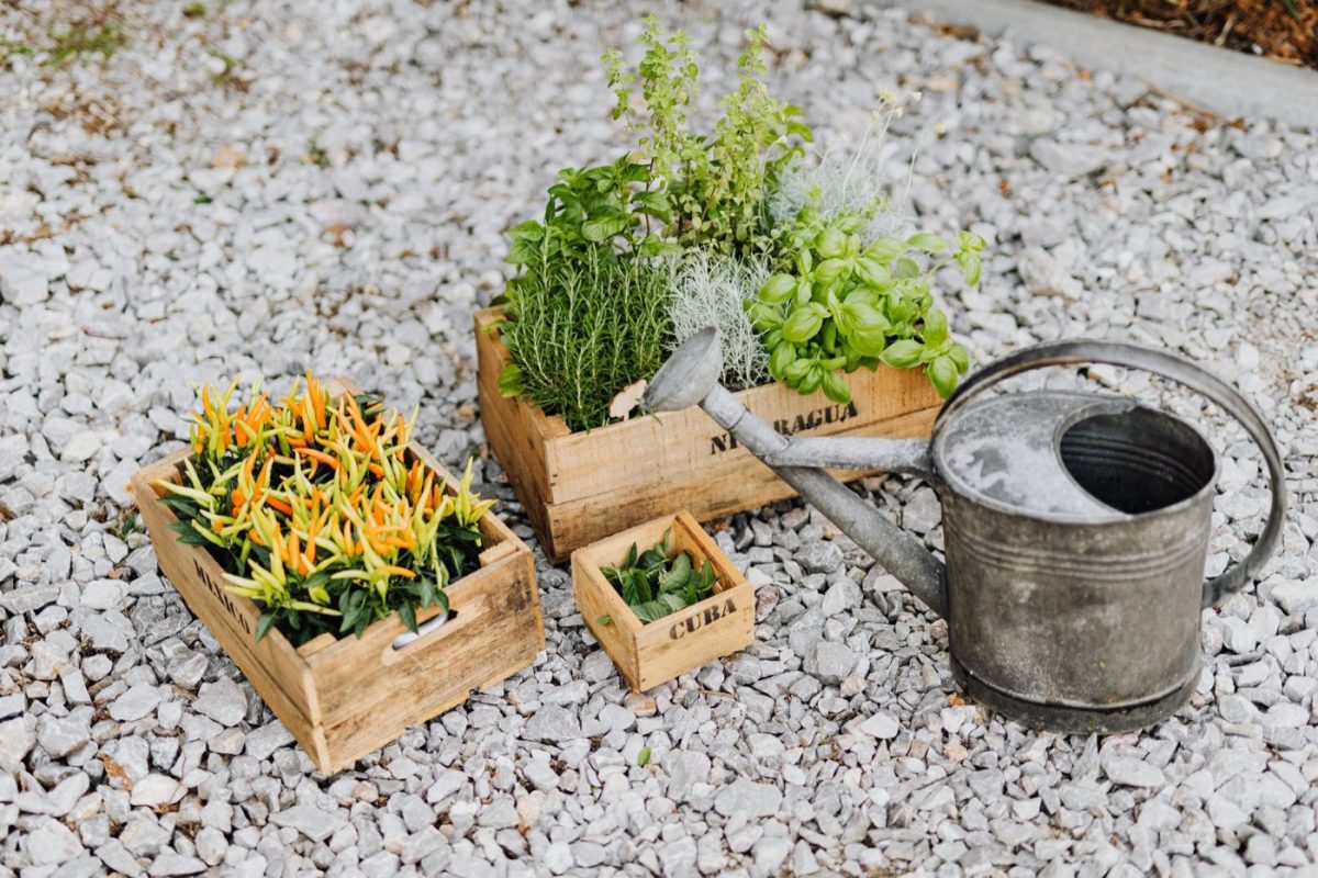 Aménager un petit balcon pour potager et rangement