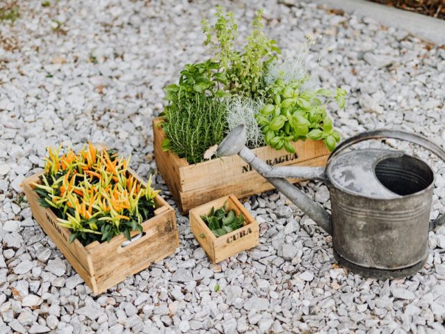 Aménager un petit balcon pour potager et rangement