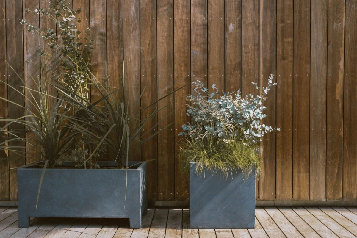 Cultiver des herbes aromatiques en pot sur balcon toute l'année