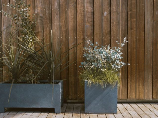 Cultiver des herbes aromatiques en pot sur balcon toute l&rsquo;année