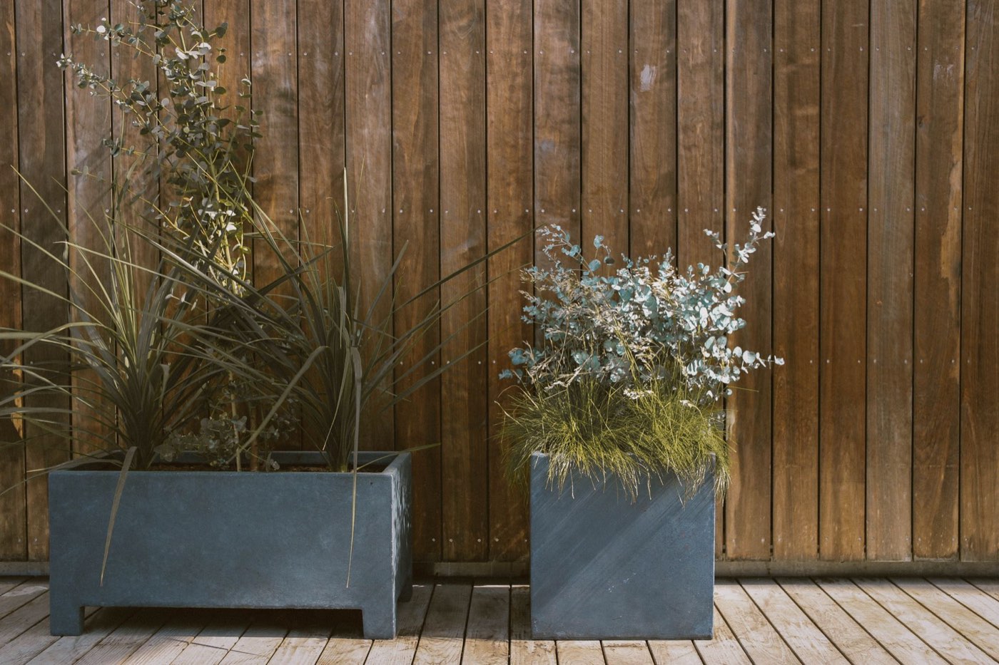 Cultiver des herbes aromatiques en pot sur balcon toute l’année