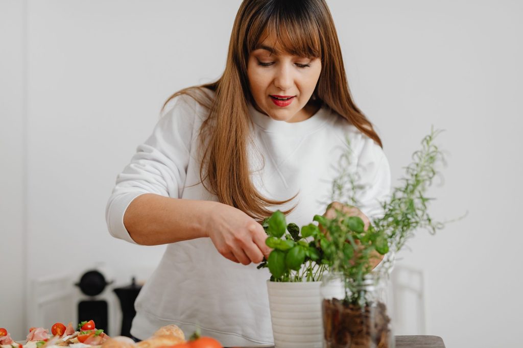 Conserver les herbes fraîches : réfrigérateur, congélation