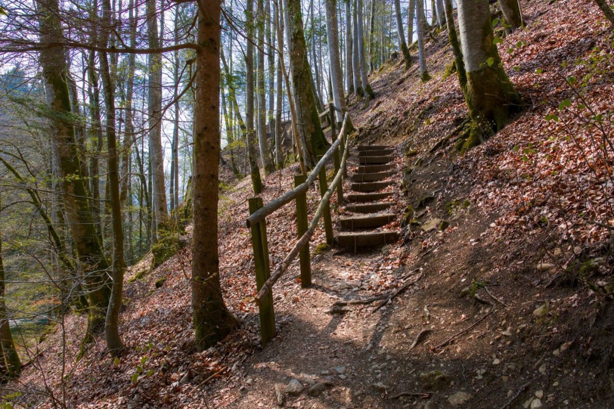 Guide rapide pour trier et ranger efficacement
