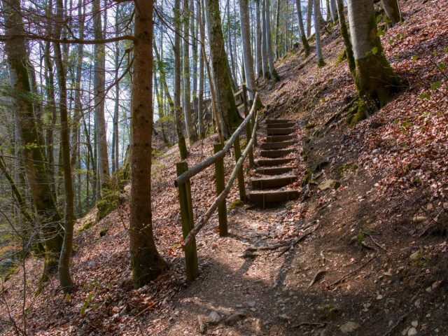 Guide rapide pour trier et ranger efficacement