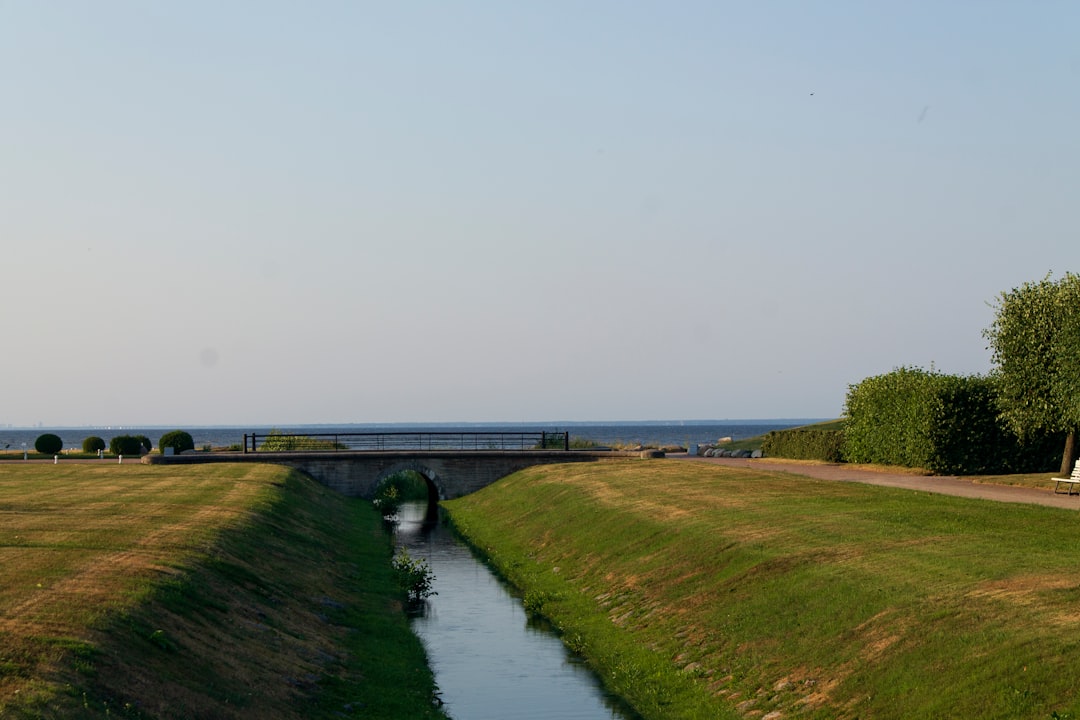 Comment entretenir votre pelouse avec moins d'eau ?