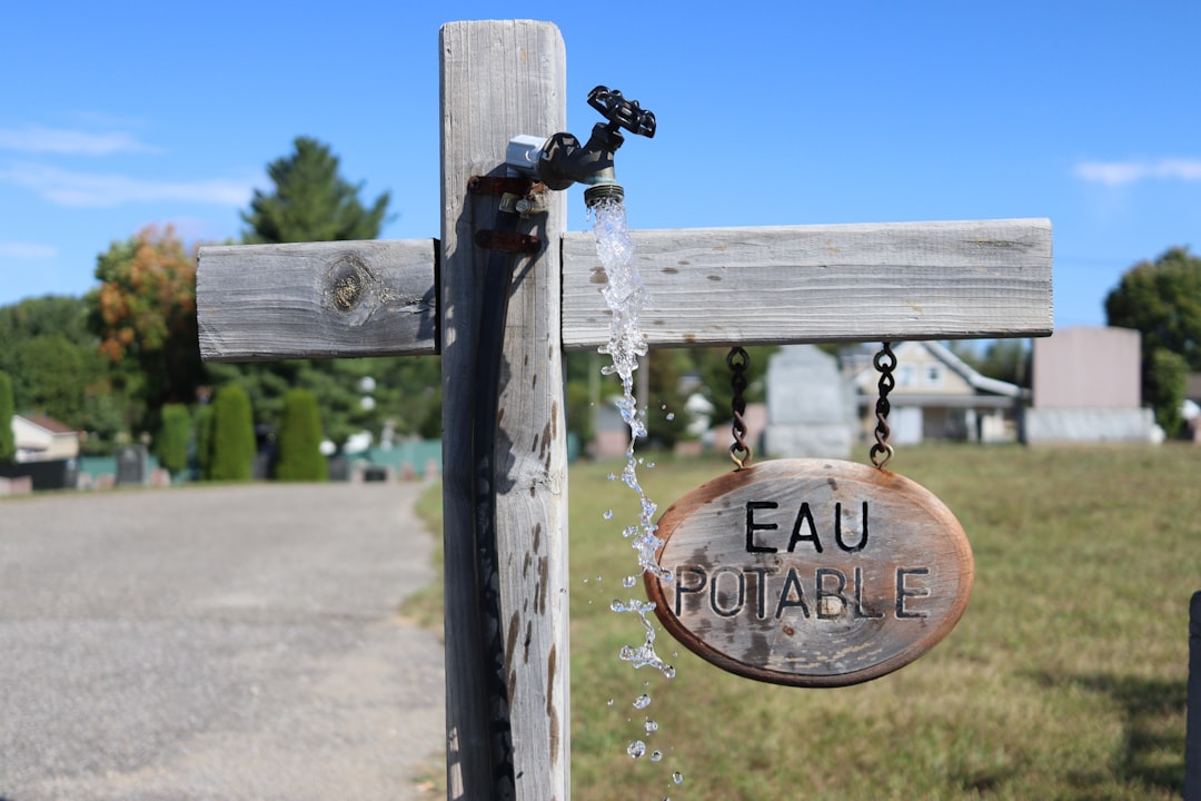 Entretenir sa pelouse en période de restrictions d'eau