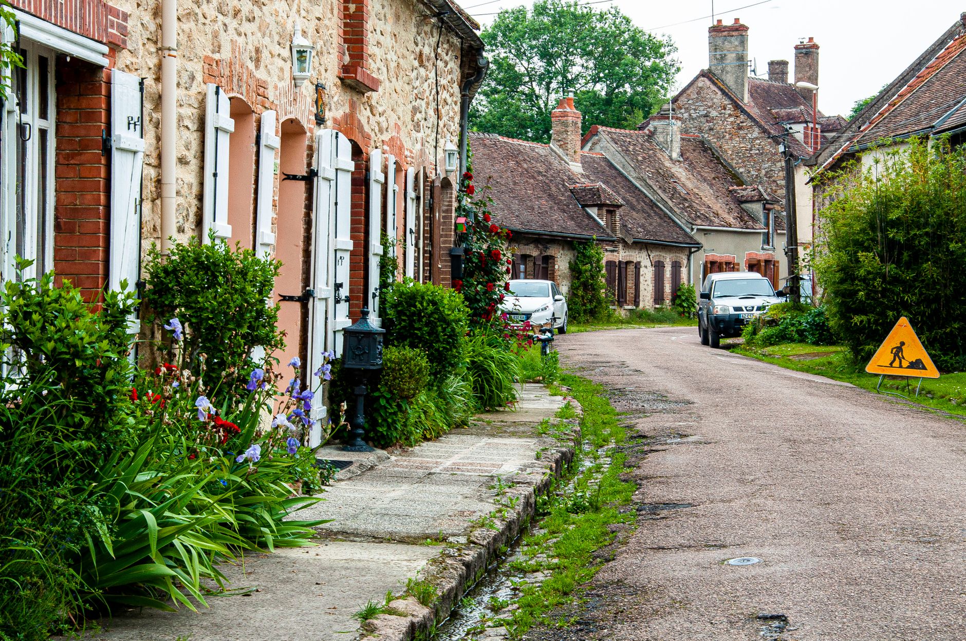Dératisation à Crécy : ne laissez pas les nuisibles s'installer !