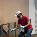 Frelons asiatiques : l&rsquo;action d&rsquo;octobre qui vous évite l&rsquo;invasion au printemps