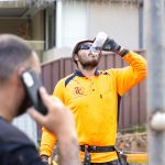 Frelons asiatiques : des apiculteurs des Landes en guerre pour sauver leurs ruches